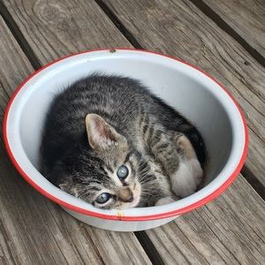 Meet your Posher, Kaitlin